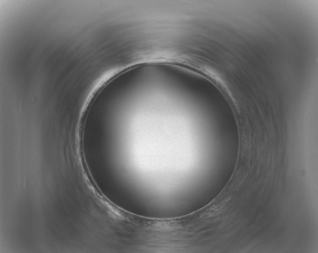 X0000060581480200511171644