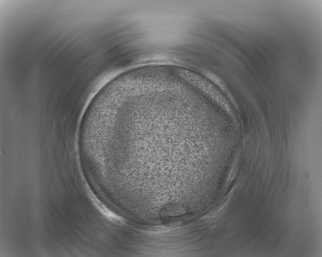 X0000060581482200511171644