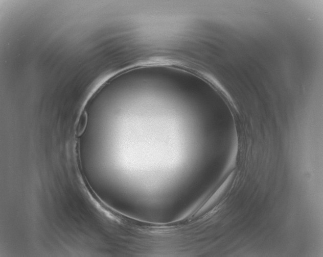 X0000060581484200511171644