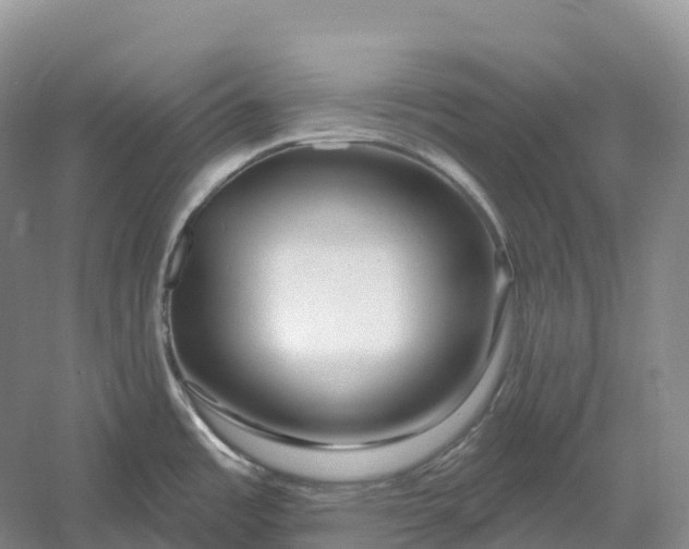 X0000060581485200511171644