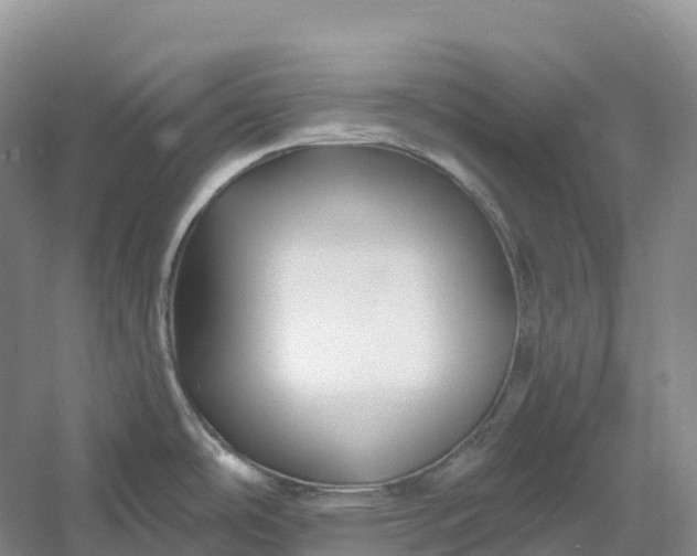 X0000060581486200511171644