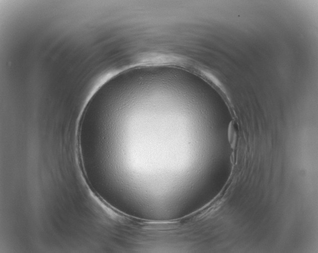 X0000060581487200511171644