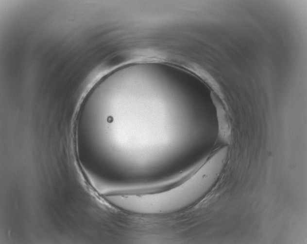 X0000060581488200511171644