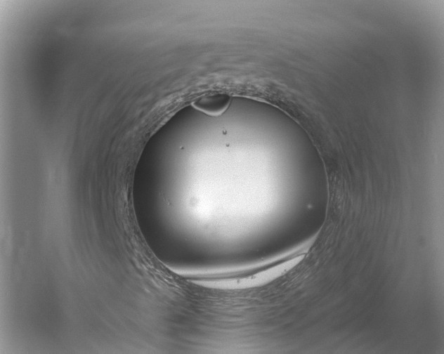 X0000060581489200511171643