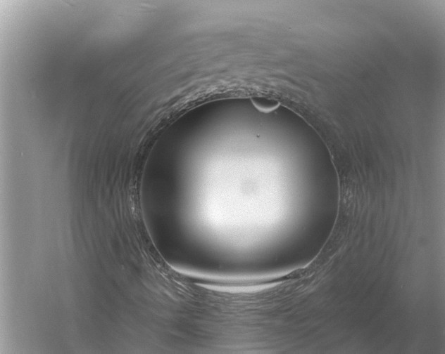 X0000060581490200511171643