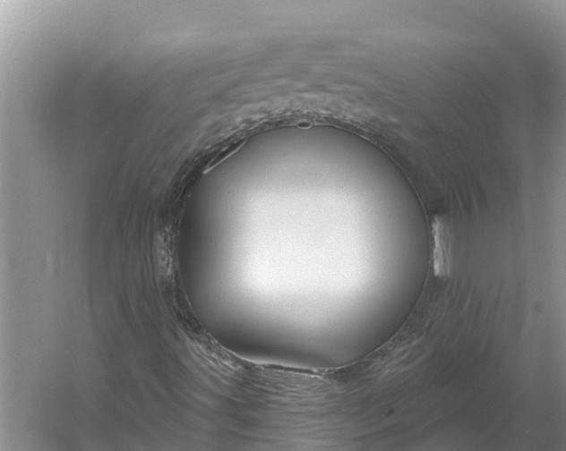 X0000060581491200511171643