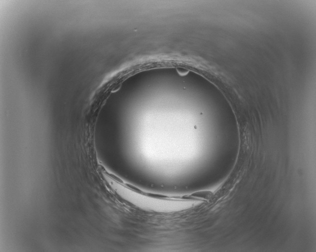 X0000060581494200511171644