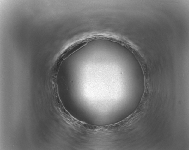 X0000060581496200511171644