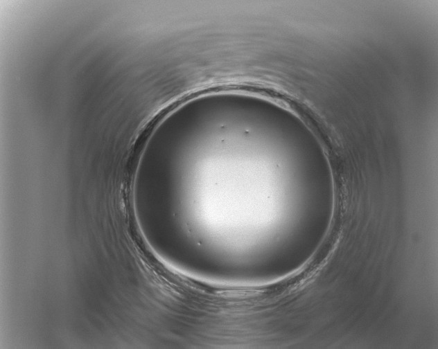 X0000060581497200511171644