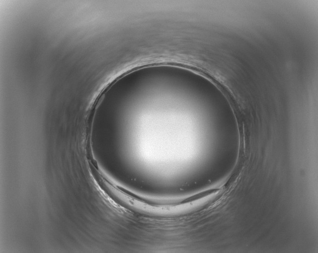 X0000060581500200511171644