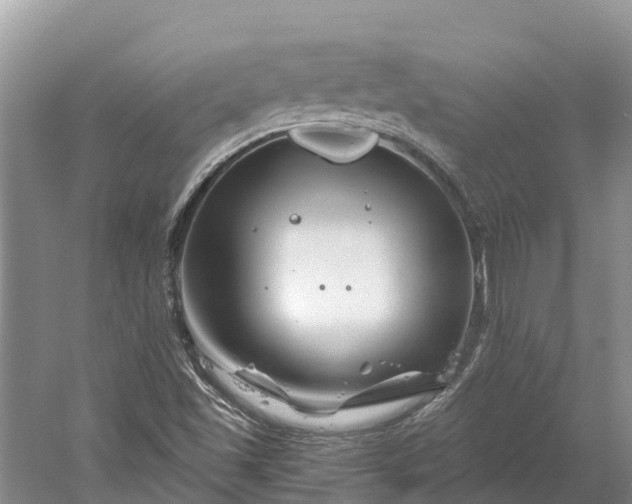 X0000060581501200511171644