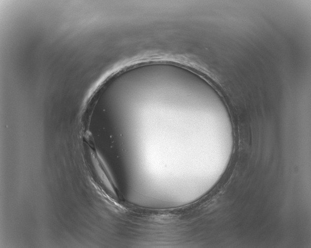 X0000060581502200511171644