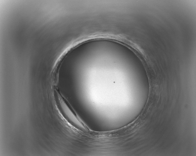 X0000060581504200511171644