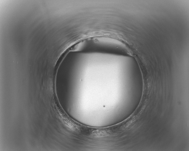 X0000060581505200511171644