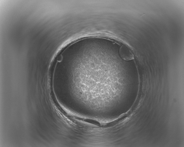 X0000060581506200511171644