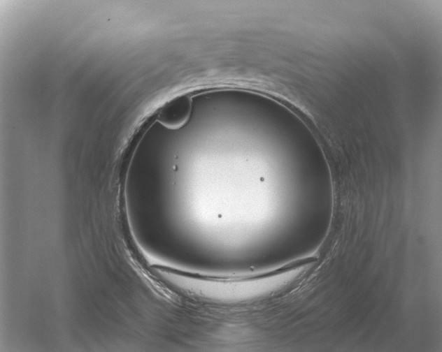 X0000060581507200511171644