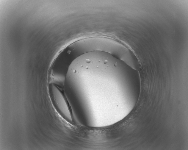 X0000060581508200511171644