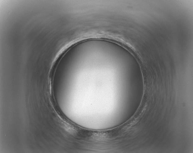 X0000060581509200511171644