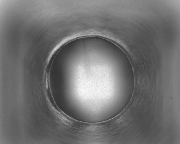 X0000060581510200511171644