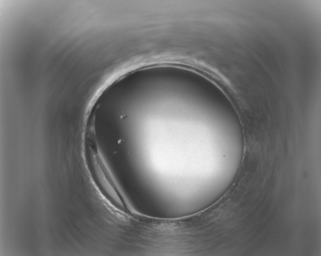 X0000060581512200511171644