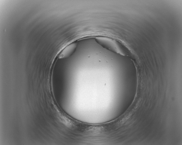 X0000060581513200511171644