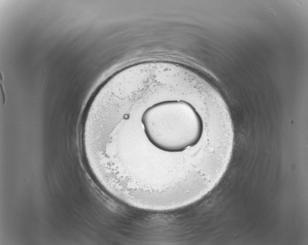 X0000060581514200511171644