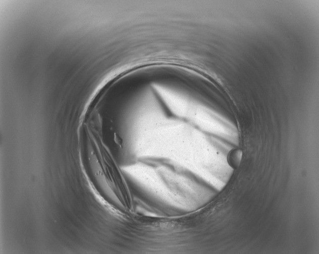 X0000060581515200511171644