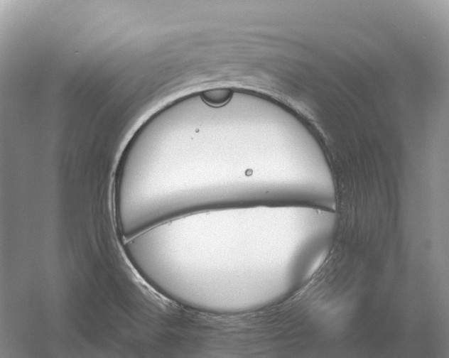 X0000060581516200511171644