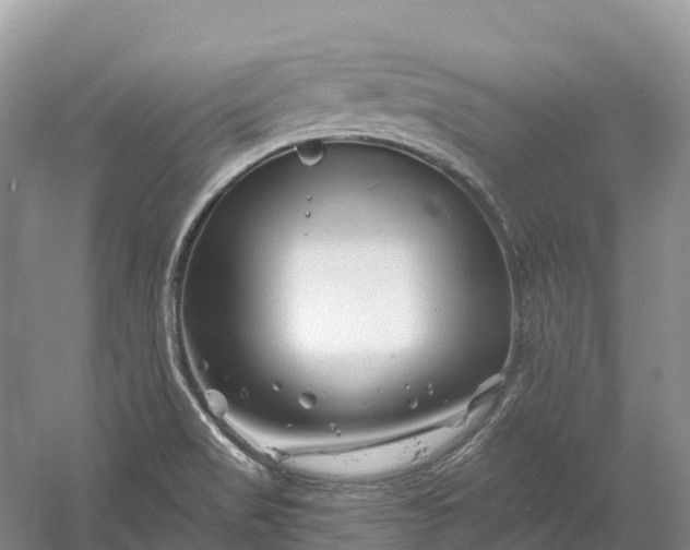 X0000060581517200511171644