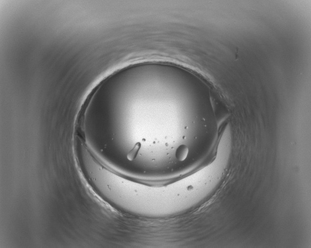 X0000060581518200511171644