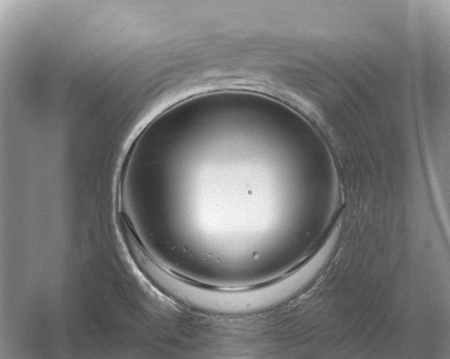 X0000060581520200511171644