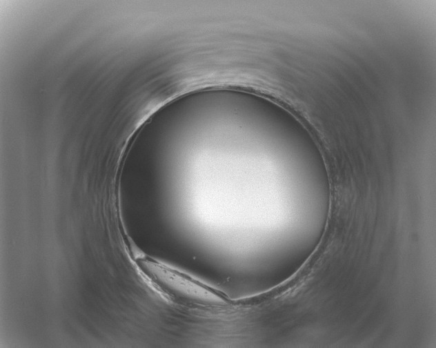 X0000060581521200511171644