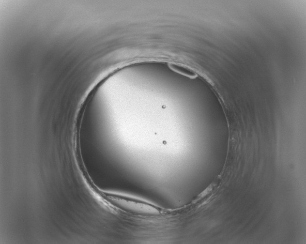 X0000060581523200511171644