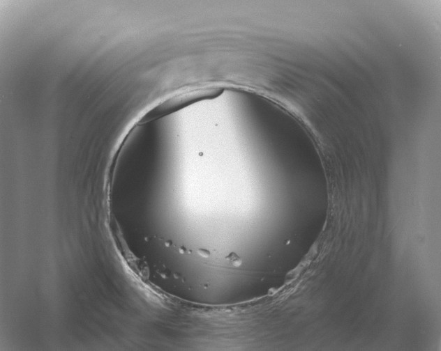 X0000060581524200511171644