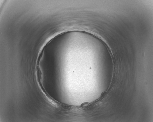 X0000060581525200511171644