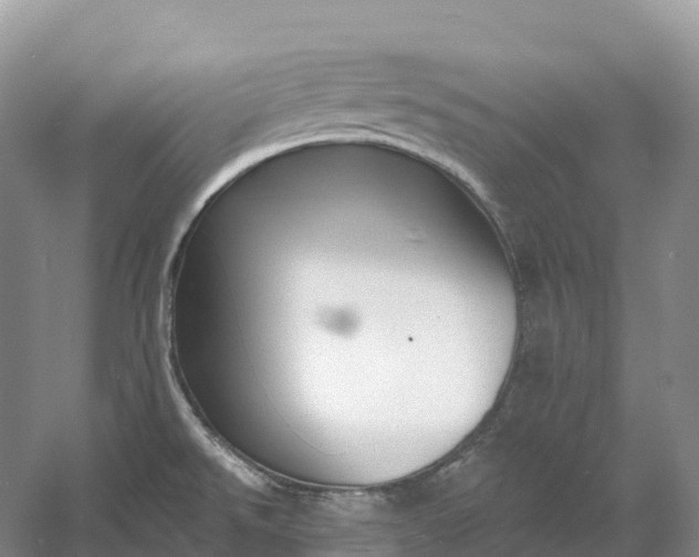 X0000060581526200511171644