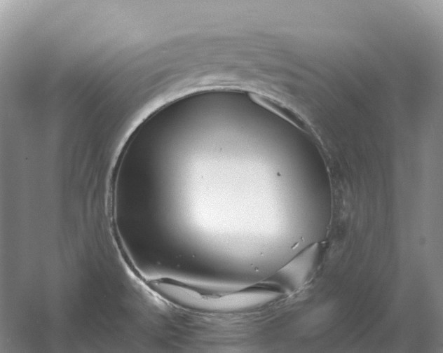 X0000060581527200511171644