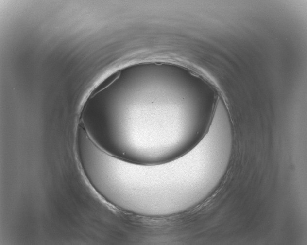 X0000060581528200511171644