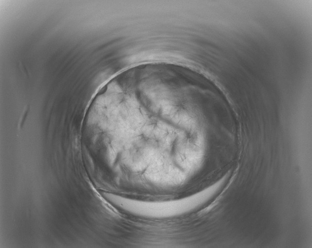 X0000060581529200511171644