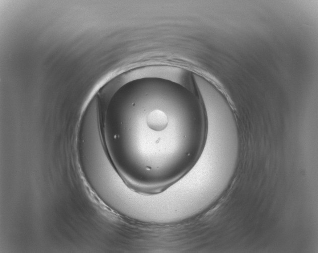 X0000060581530200511171644