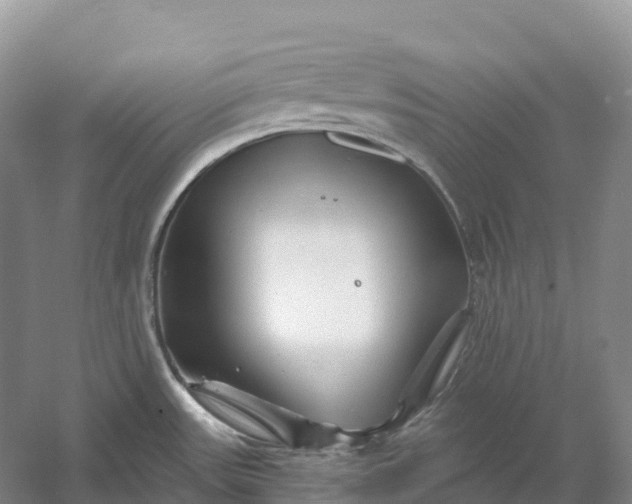 X0000060581531200511171644