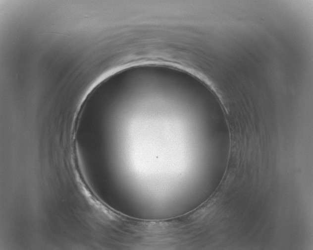 X0000060581534200511171644