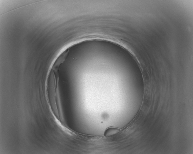 X0000060581535200511171644