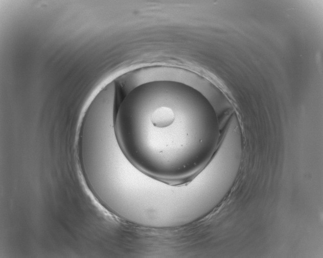 X0000060581536200511171644