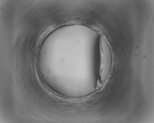 X0000060580001200511241353