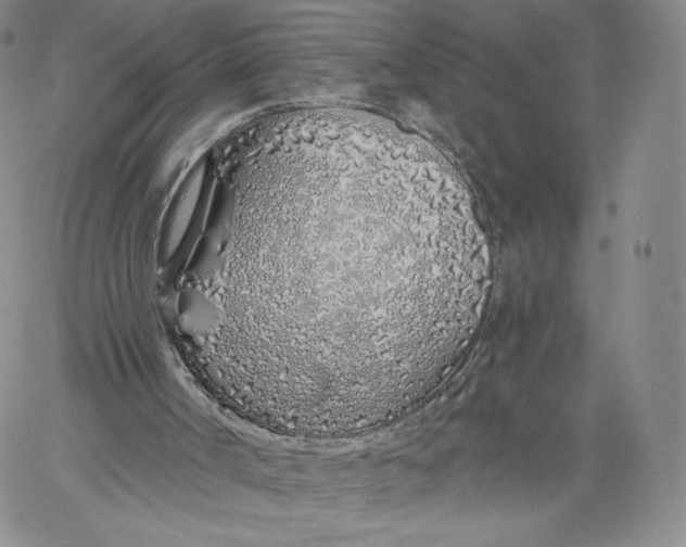 X0000060580002200511241353