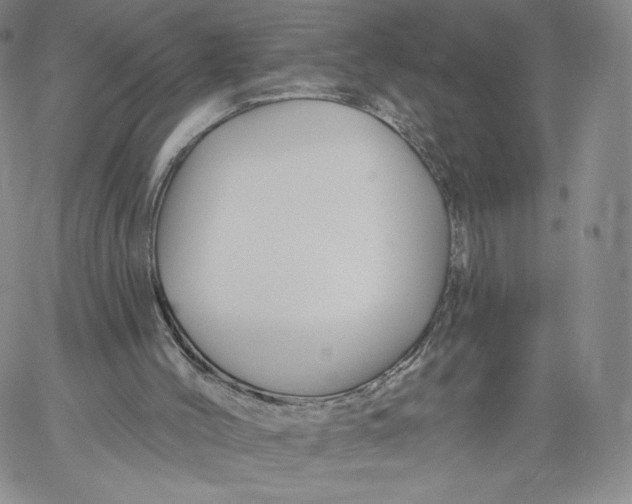 X0000060580004200511241353