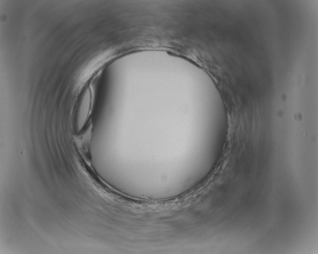 X0000060580005200511241353