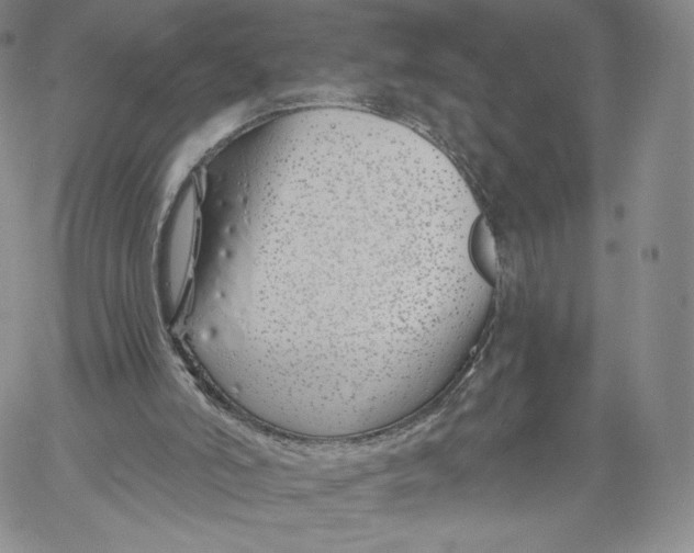 X0000060580006200511241353