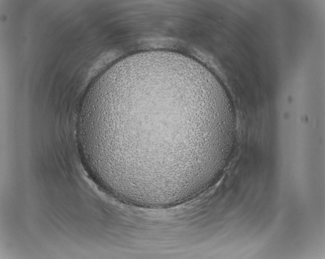 X0000060580010200511241353